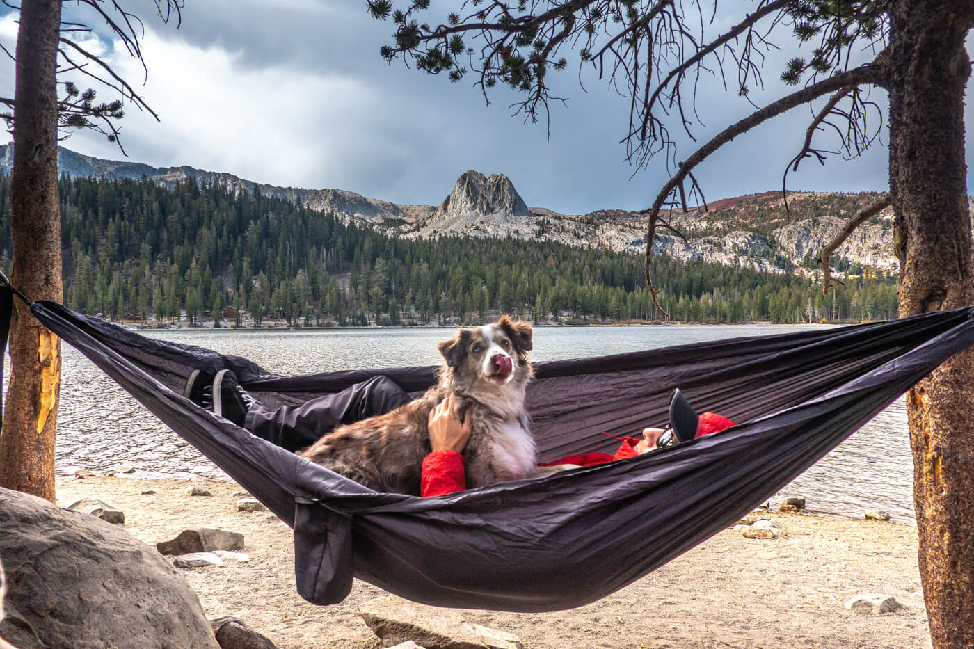 Review: ENO TravelNest™ Hammock + Straps Combo - An Affordable, Portab