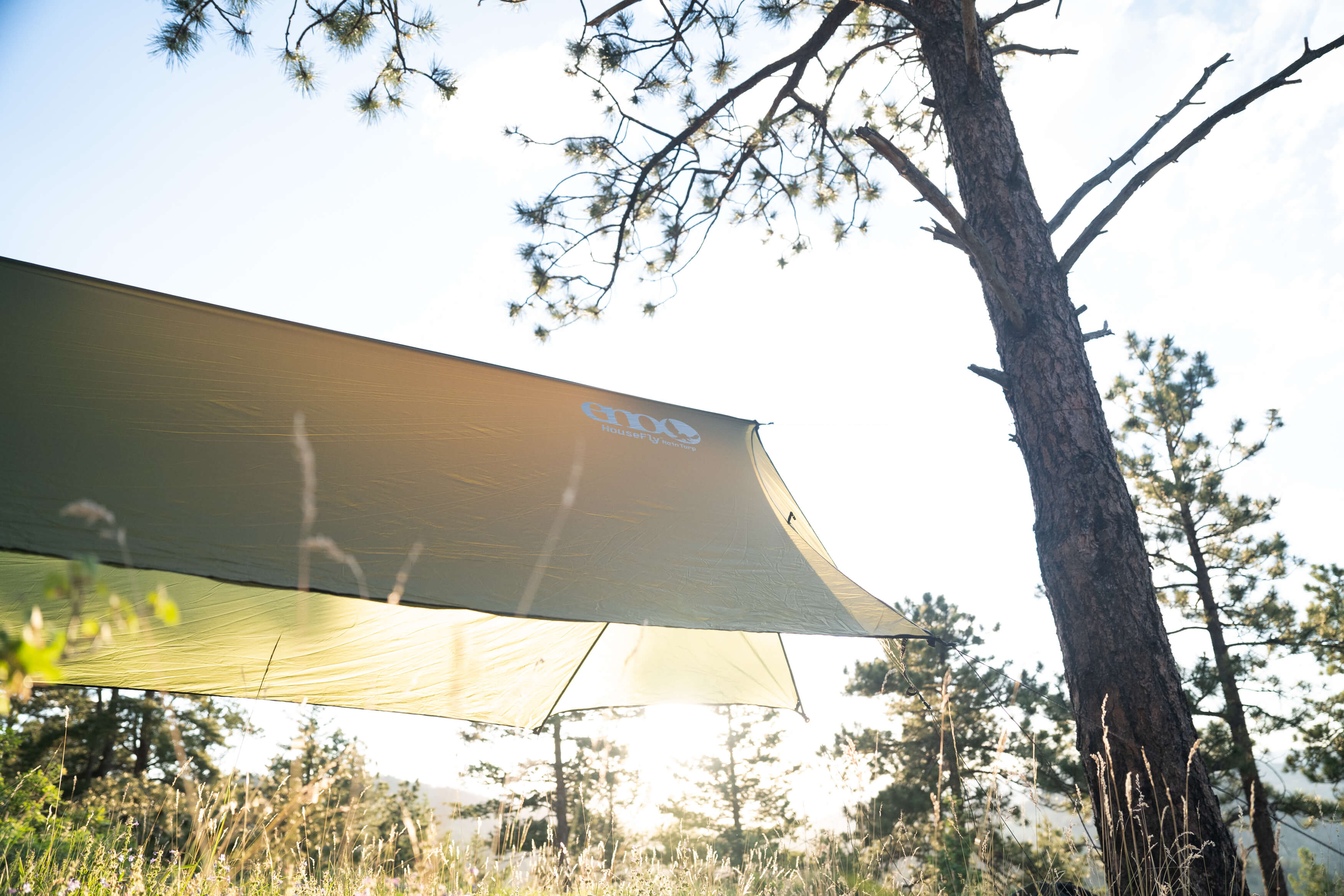 ENO HouseFly hung between two trees with sun shining through