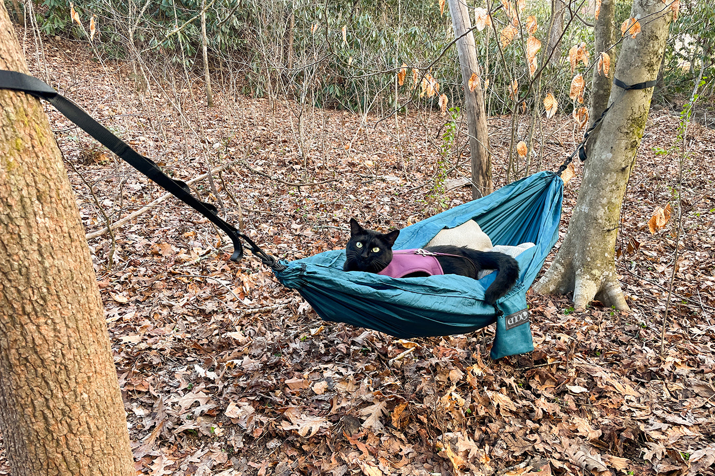 NEW! Pet Hammock + Straps Combo For Your Furry Friend