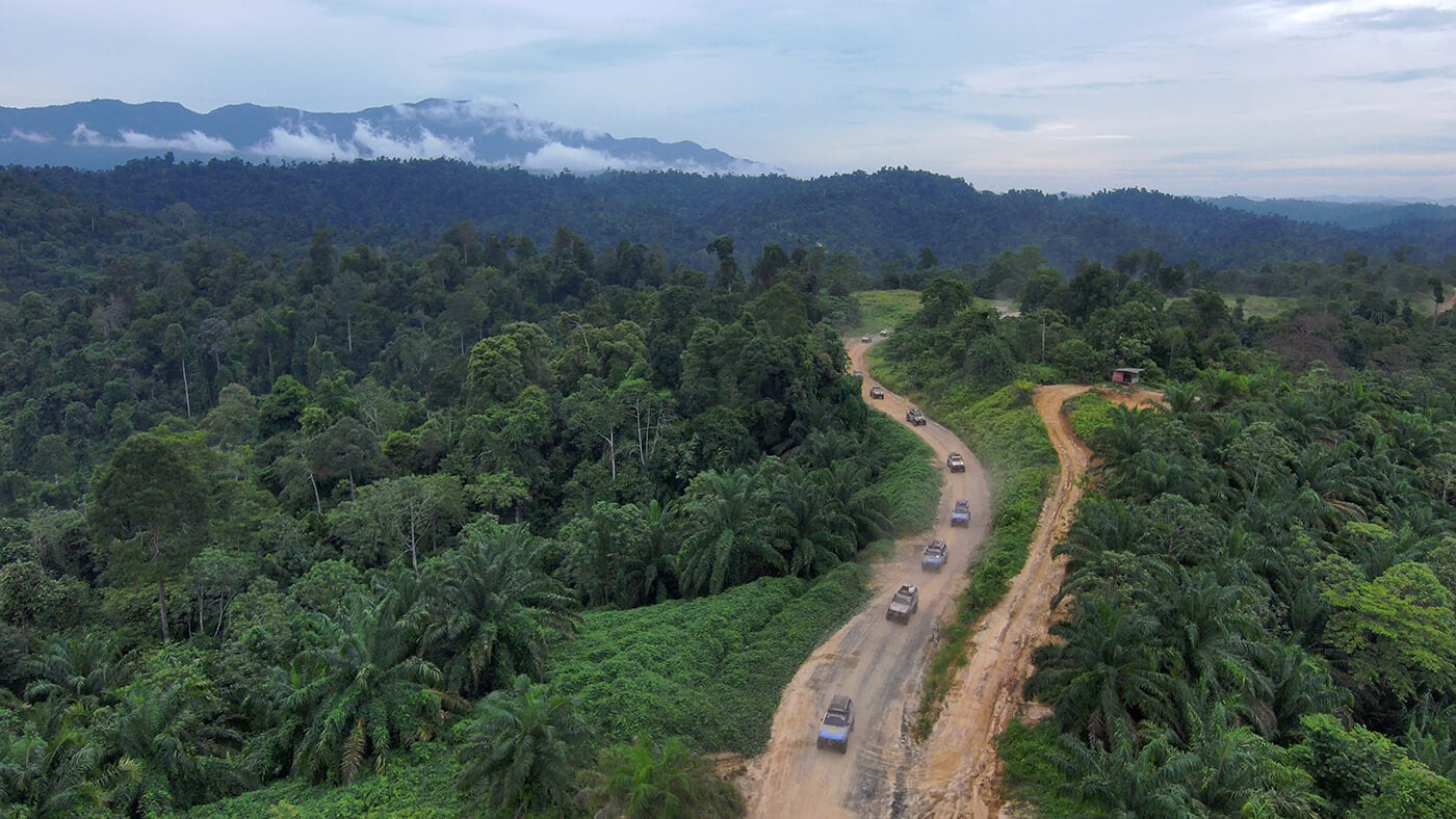 A drone photo shows a trail of off roading vehicles traveling through the remote jungle