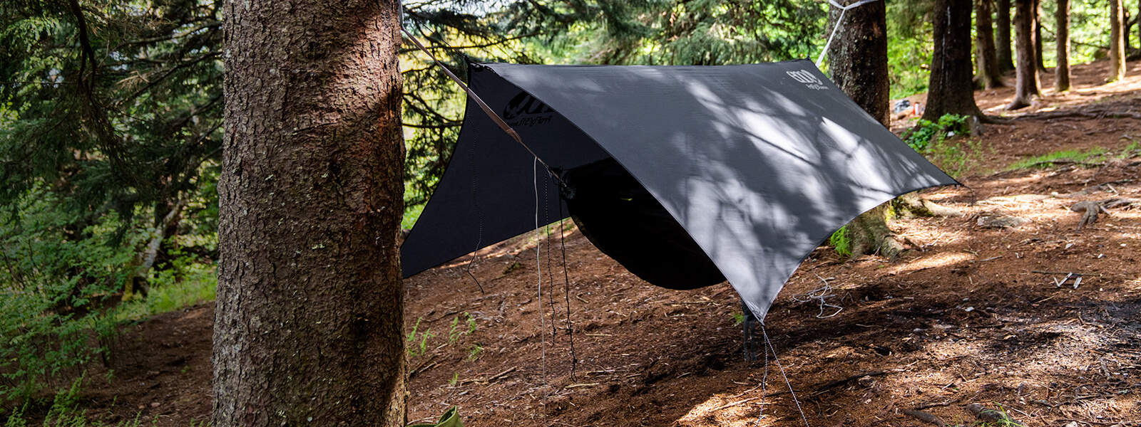 An ENO hammock rain tarp set up above hammock and bug net between two trees in the woods.