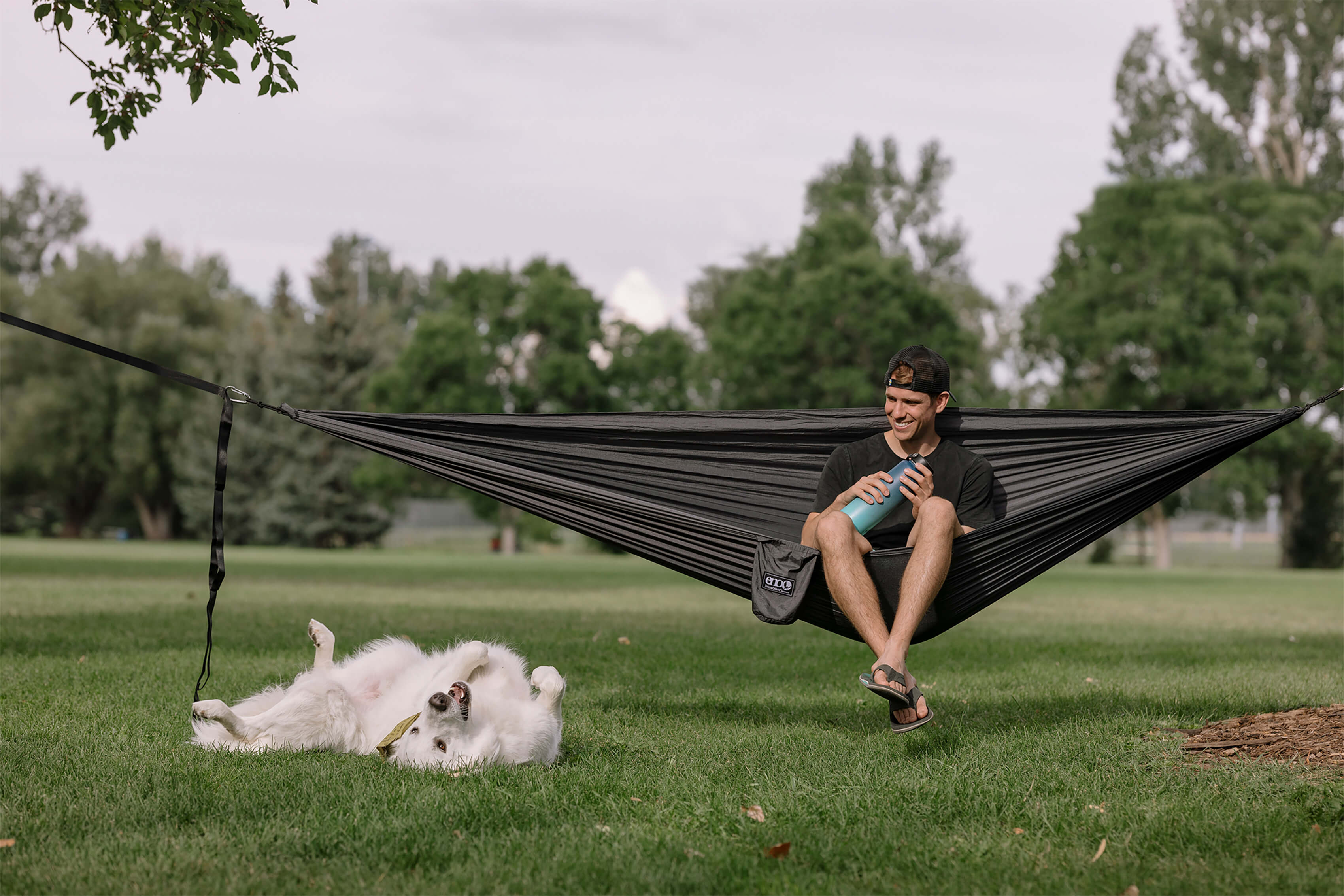 A man in a charcoal hammock holding a blue waterbottle while looking at a white dog roll around in the grass