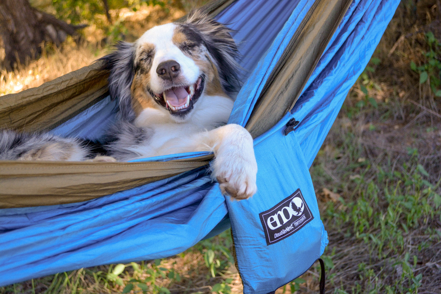 10 Tips For Backpacking With Your Dog