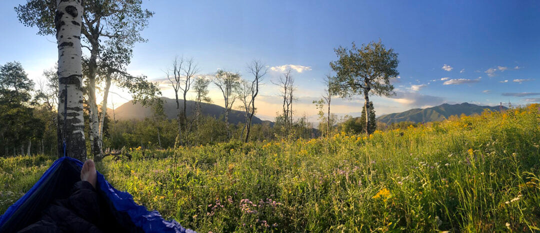 person relaxing in hammock in a green meadow