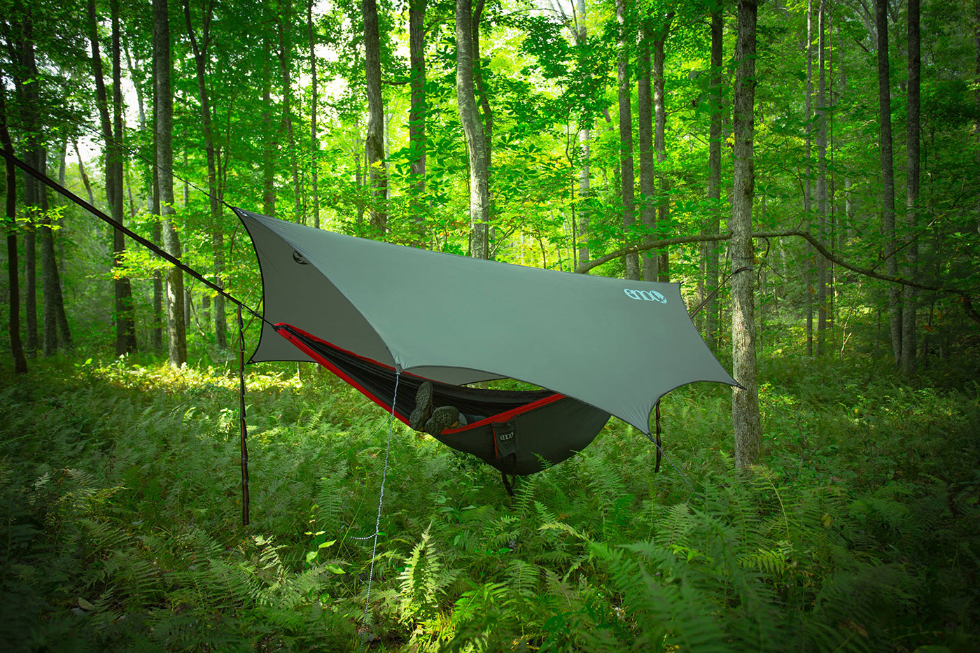 Hammock hanging in the forest under an ENO tarp
