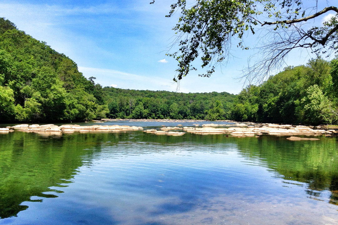 alabama river scene