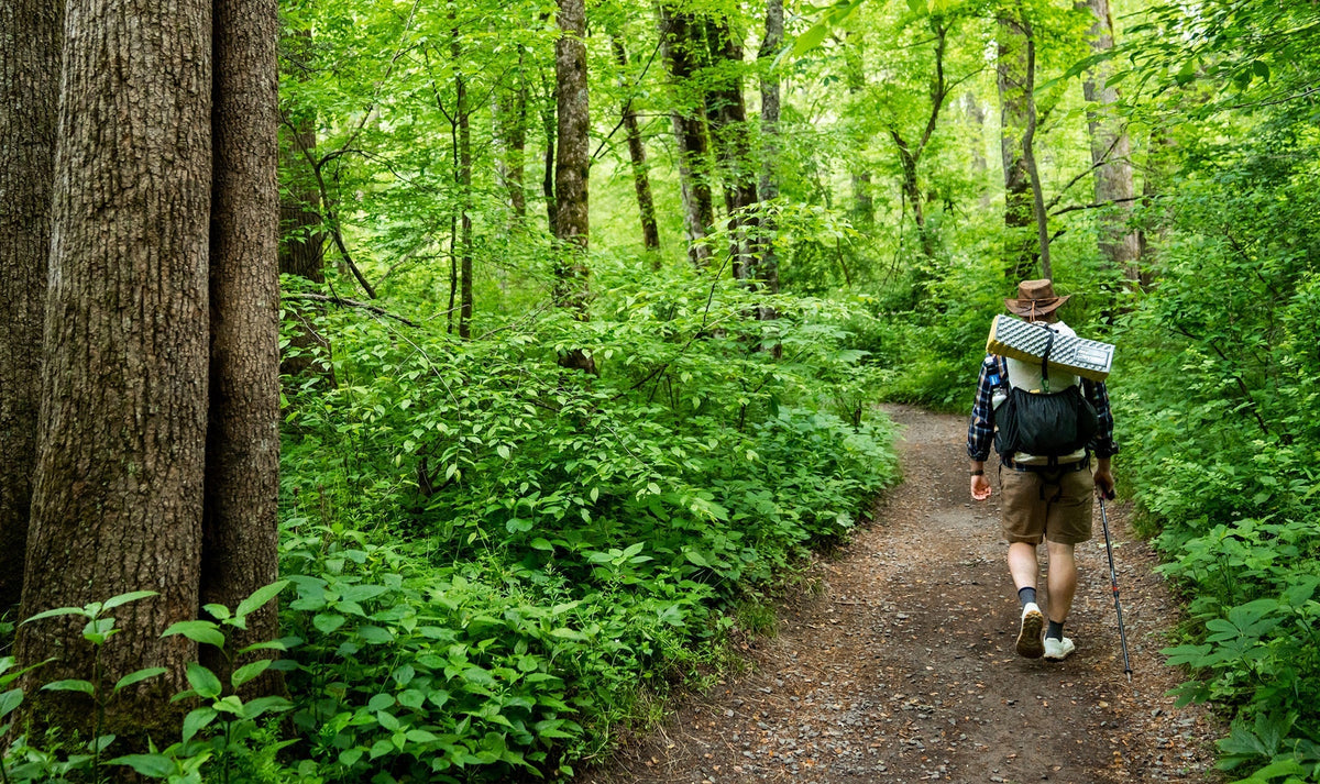 Grab Your Hammock and Hit the Trail: How to Celebrate National Trails ...
