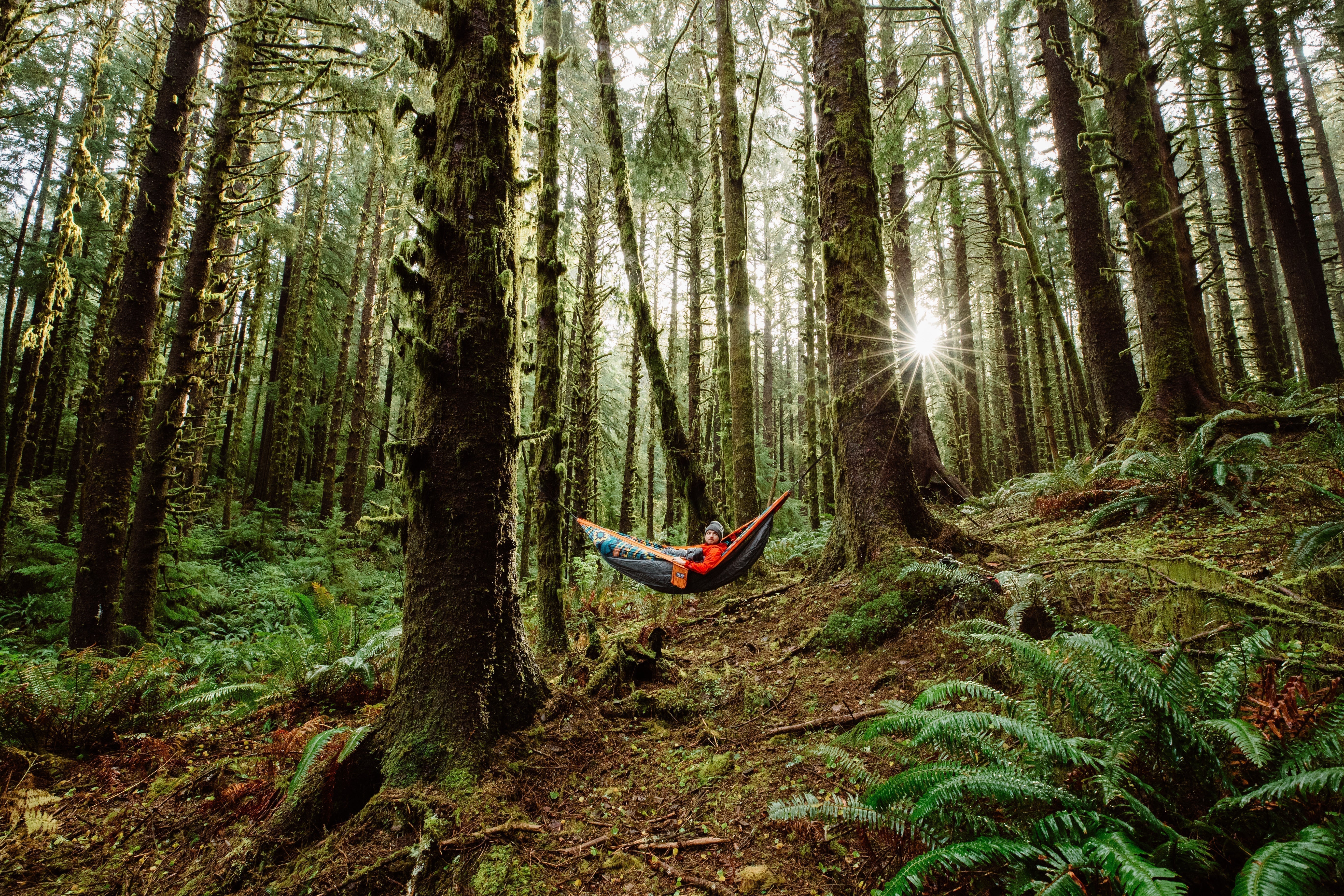 A man hammocking in an ENO Hammock in a forest