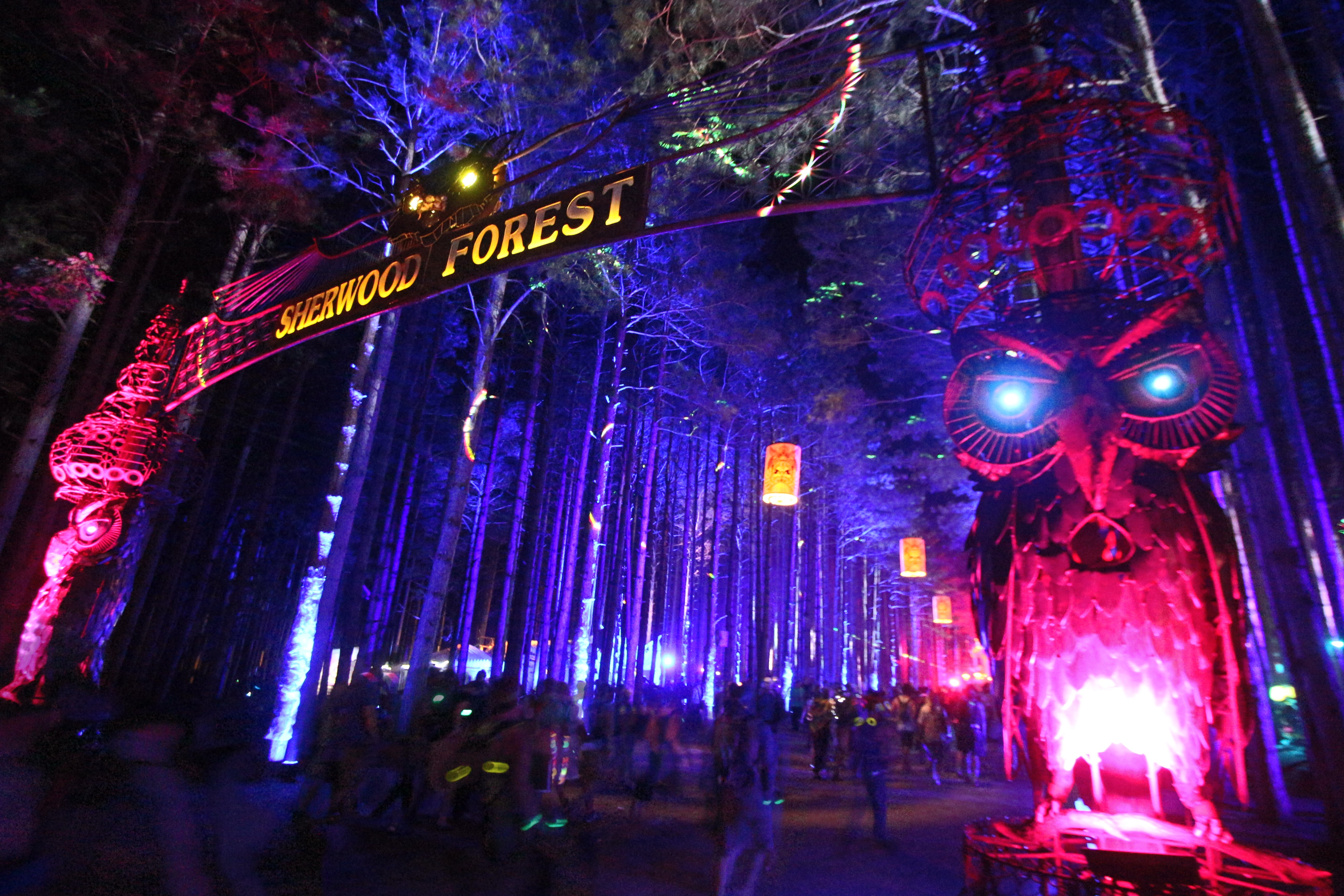 entrance gate to the electric forest festival