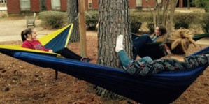 friends relaxing in hammocks together around a tree