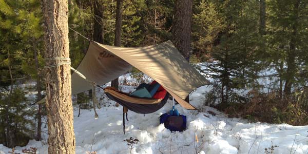 hammock in snow