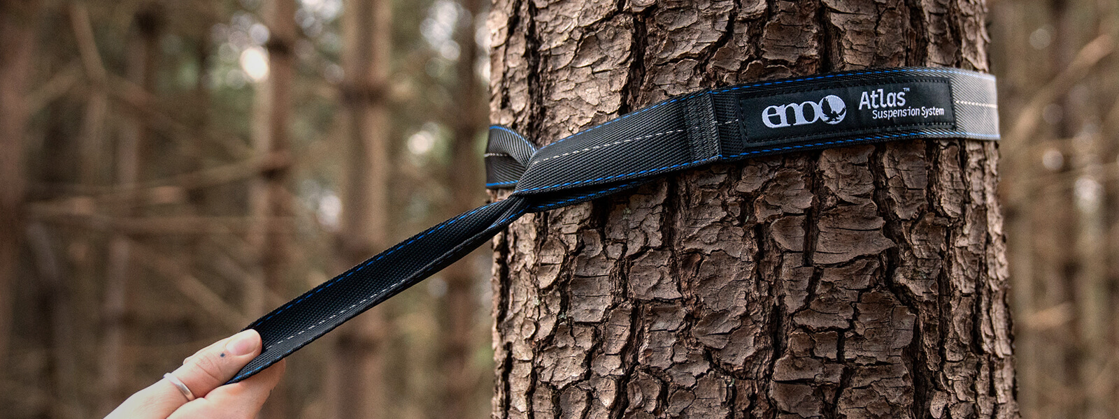 A person wrapping an ENO hammock strap around a tree in the forest.