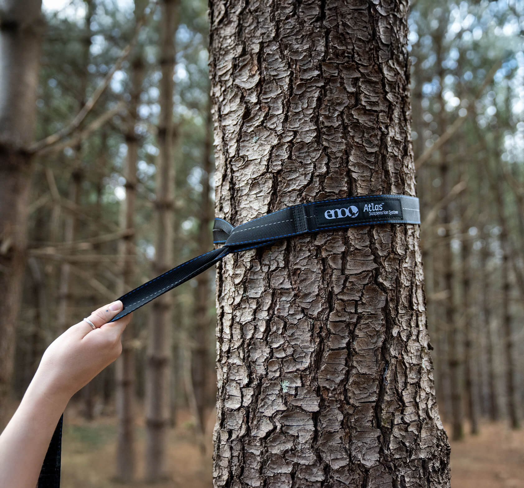 A person pulls an ENO Atlas Hammock Strap snug around a the bark of a tree.