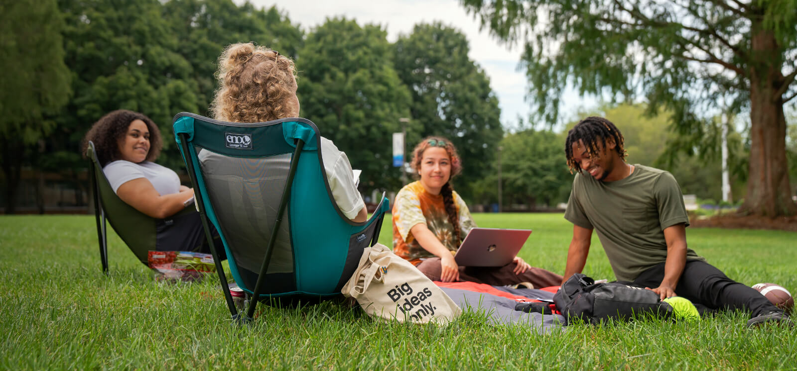 Four people sitting on a grassy area with Lounger SL Chairs and bags.