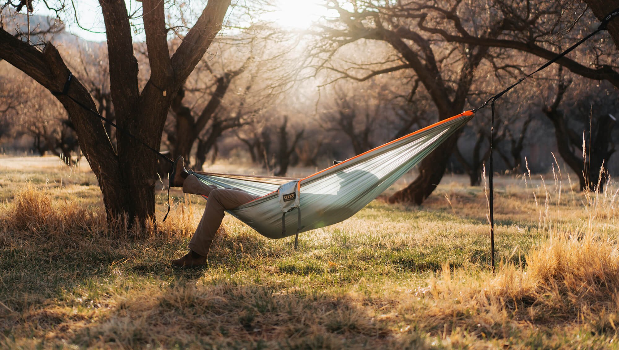 A Coastal Cocktail DoubleNest Hammock suspended between two trees in a sunlit grassy field with leafless trees in the background.