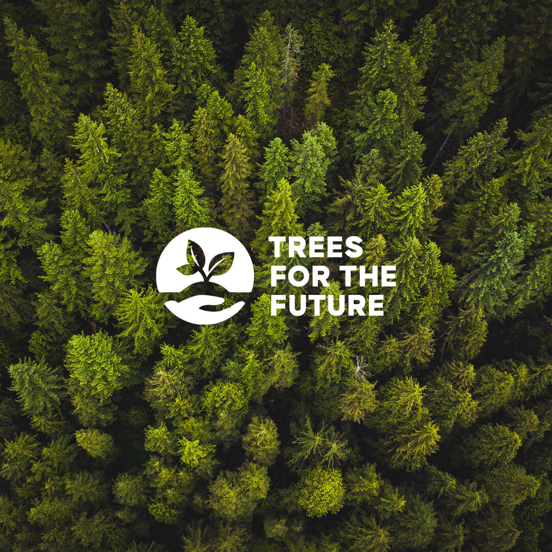 White Trees for the Future Logo overlaid an aerial shot of a pine forest.