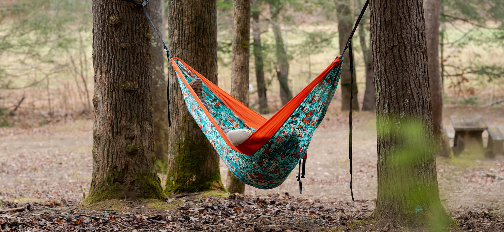 Colorful Outdoor Foundation Giving Back Hammock hanging between trees in a forest setting