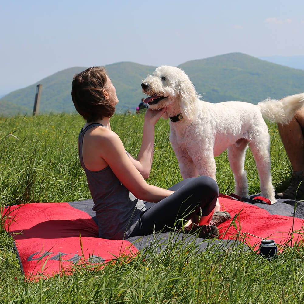 A woman sits on top of a mountain petting a white dog while sitting on an ENO ground blanket.