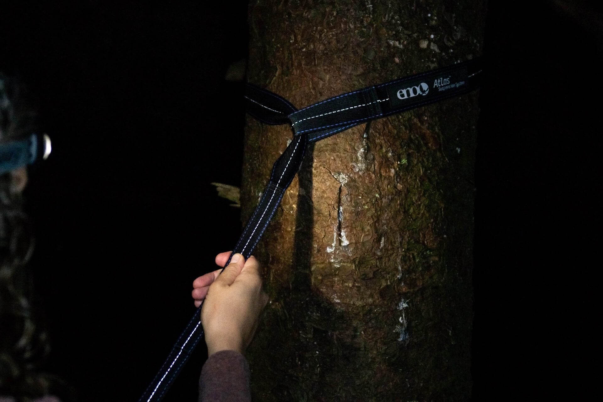 Eagles Nest Outfitters, Inc. Hammock Straps, ENO Atlas Hammock Straps on tree in dark